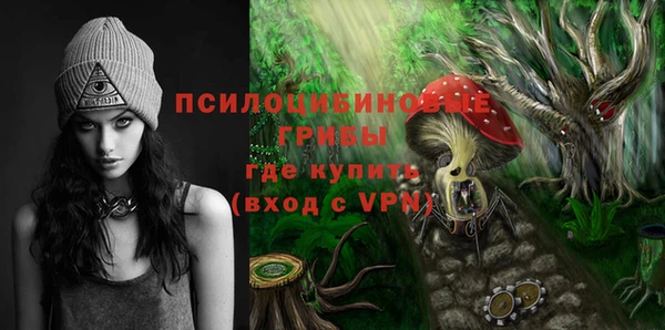 гидра Алзамай